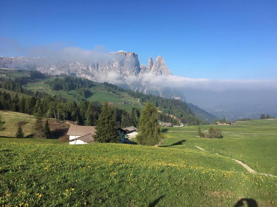 Schoene Ferienwohnung Siusi Bagian luar foto